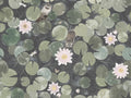 Little Greene In The Garden Lily Pads - Normandy Grey