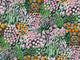 Hookedonwalls Marimekko Vol 07 Kukkameri - 25936