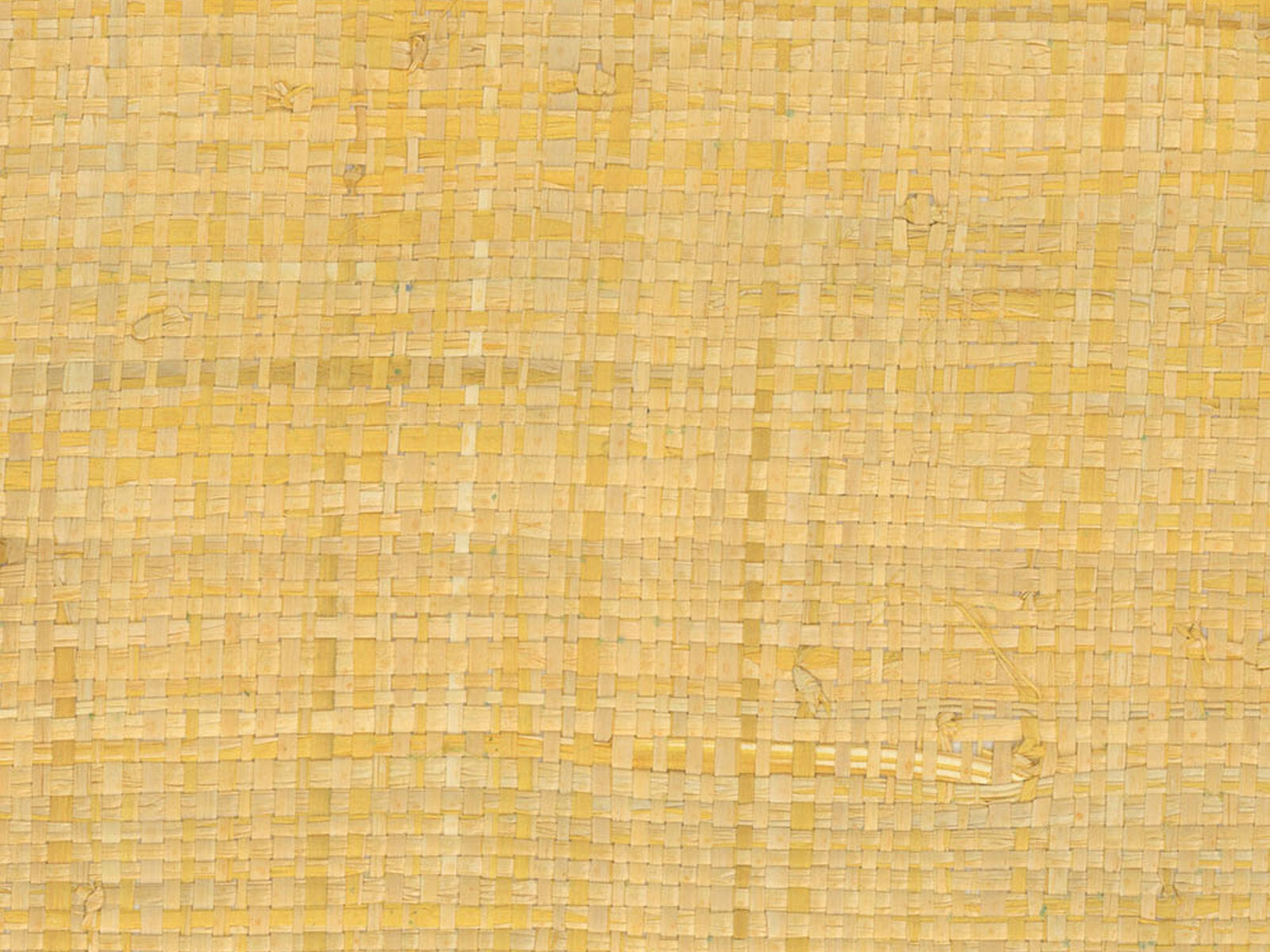 Greenland Natural Palette Raffia - NG5024