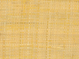 Greenland Natural Palette Raffia - NG5024