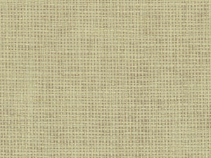 Greenland Natural Palette Paper Weave - NP6121