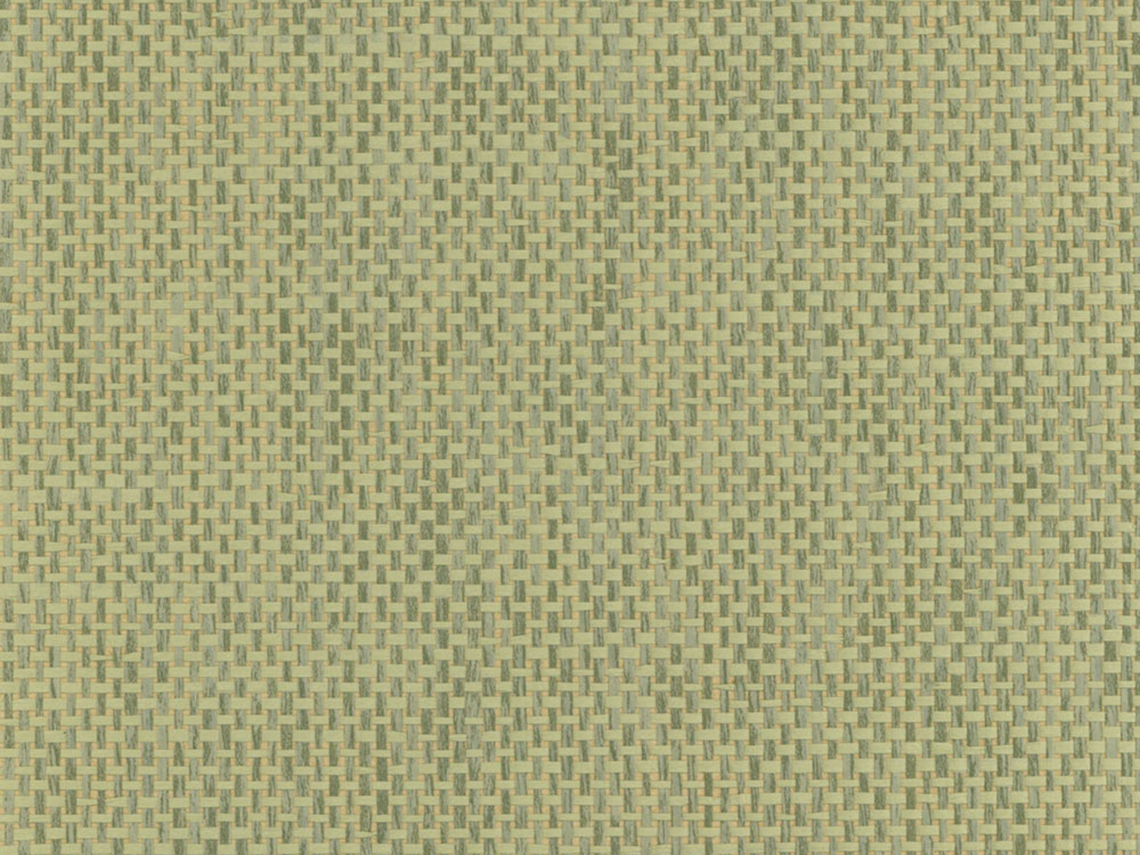 Greenland Natural Palette Paper Weave - NP6157