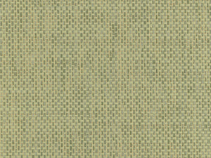 Greenland Natural Palette Paper Weave - NP6157