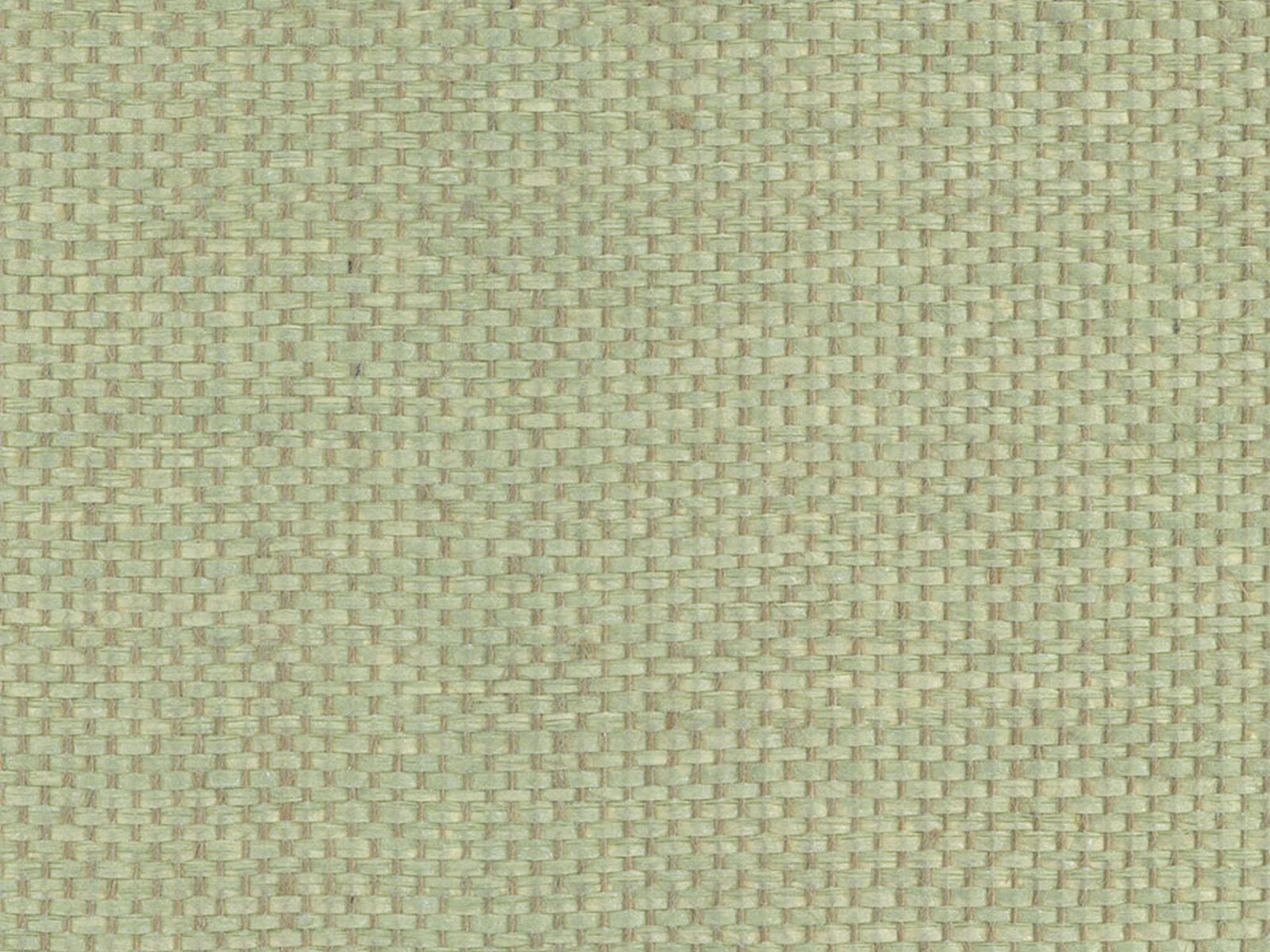 Greenland Natural Palette Paper Weave - NP8008