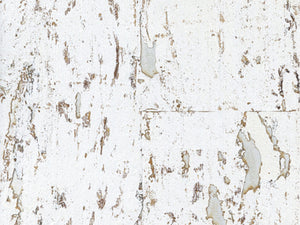 Greenland Natural Palette Cork - NQ8306