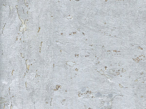 Greenland Natural Palette Cork - NQ8311