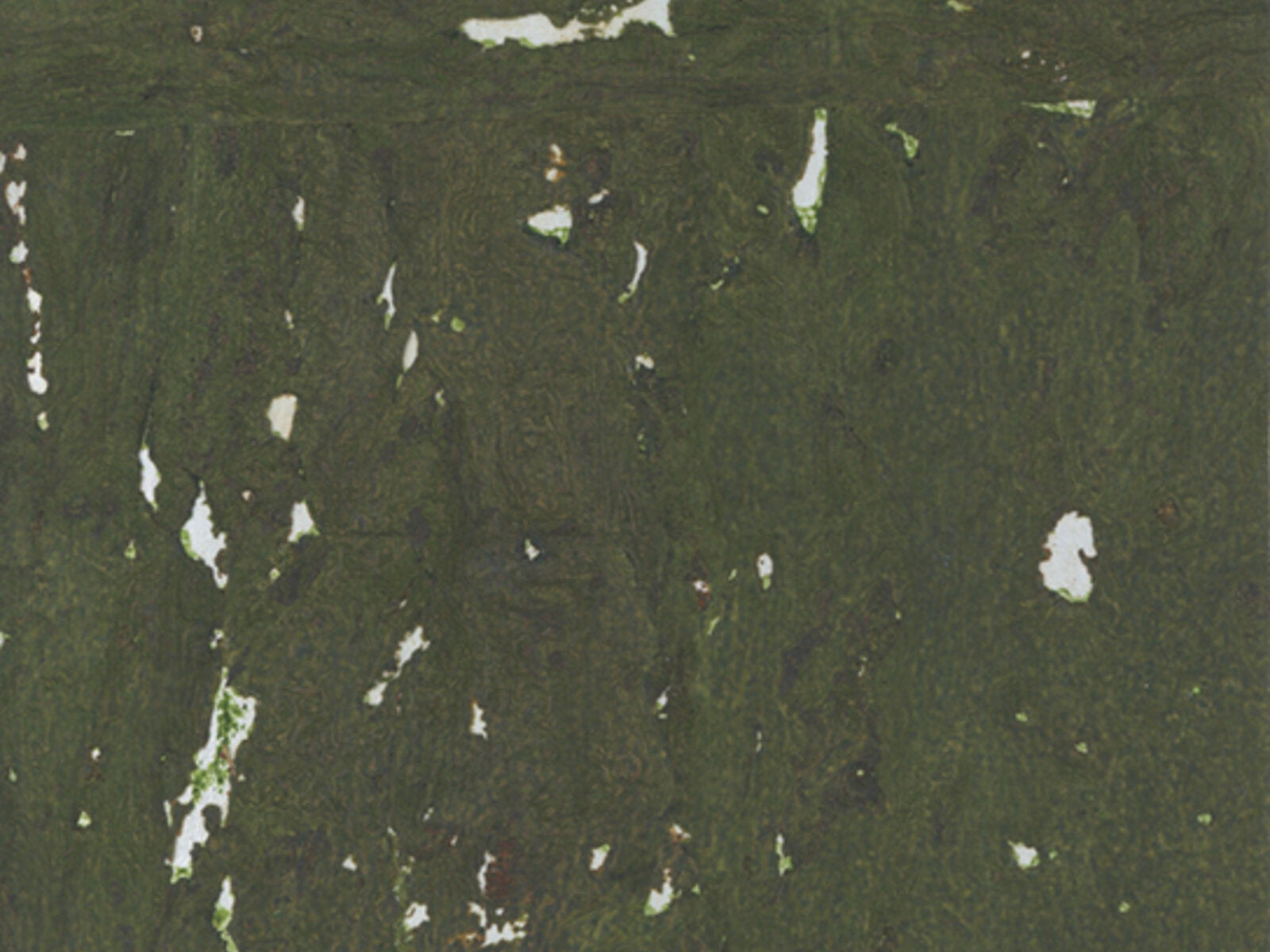 Greenland Natural Palette Cork - NQ8313