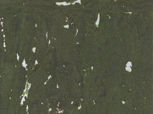 Greenland Natural Palette Cork - NQ8313