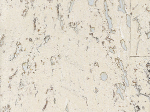 Greenland Natural Palette Cork - NQ8321