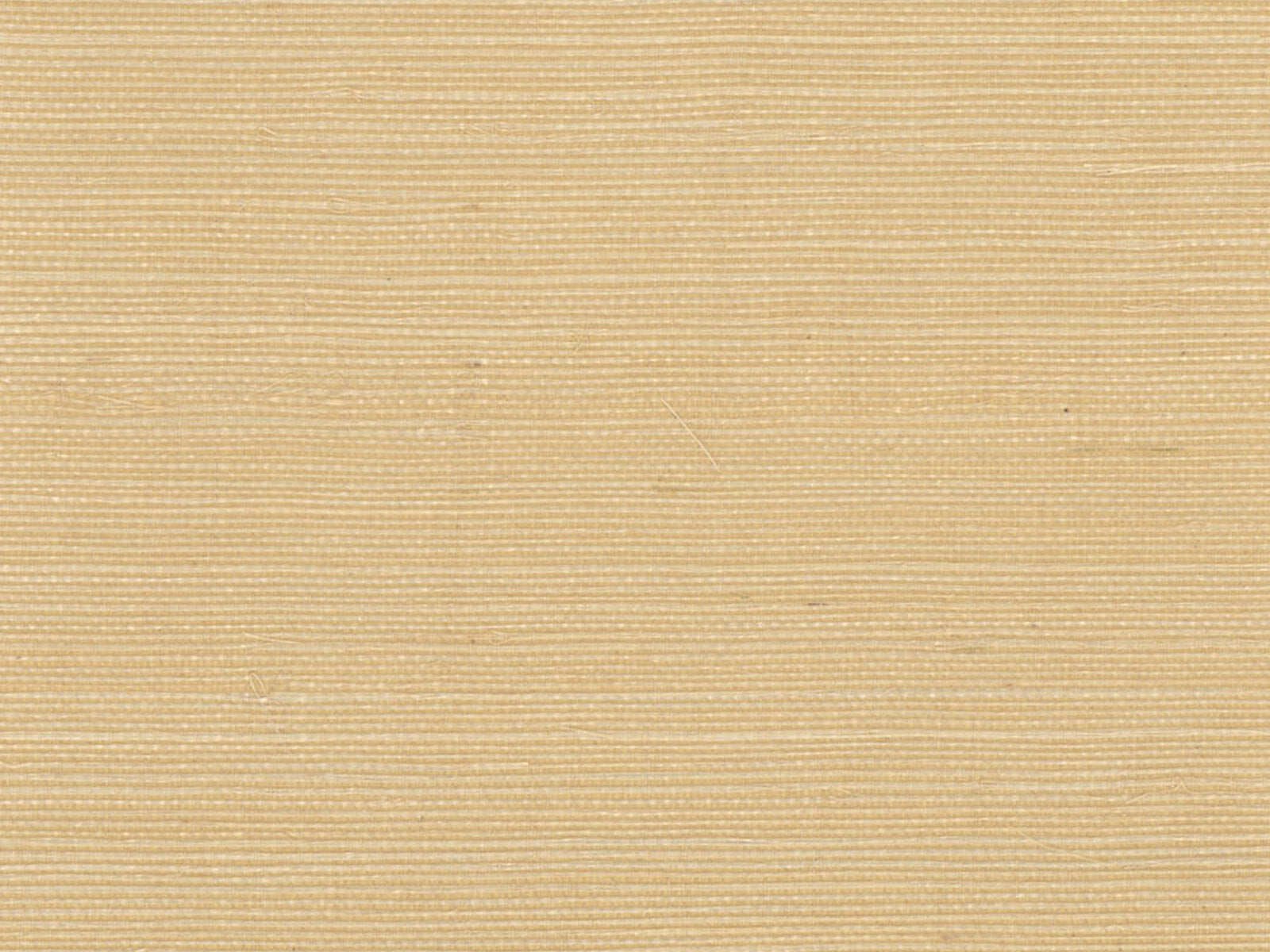 Greenland Natural Palette Sisal - NS1039