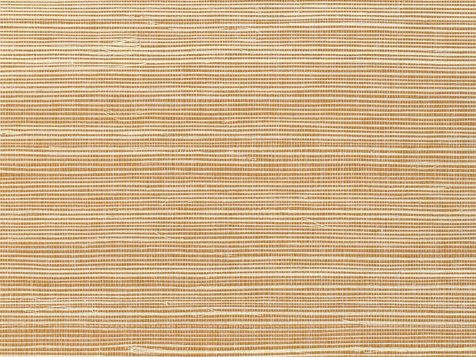 Greenland Natural Palette Sisal - NS1148