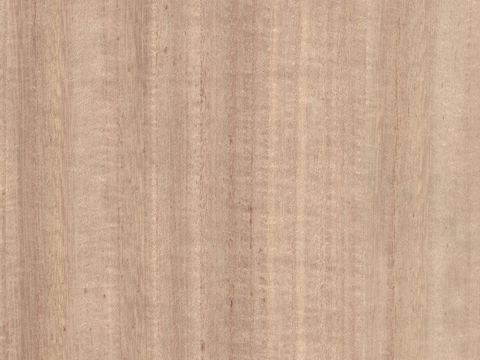 Greenland Natural Palette Wood Veneer - NV1014