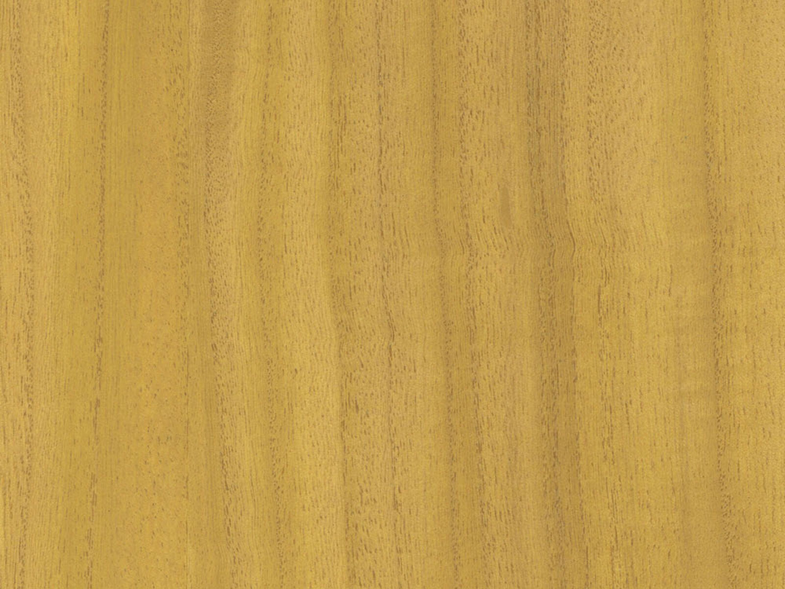Greenland Natural Palette Wood Veneer - NV1041