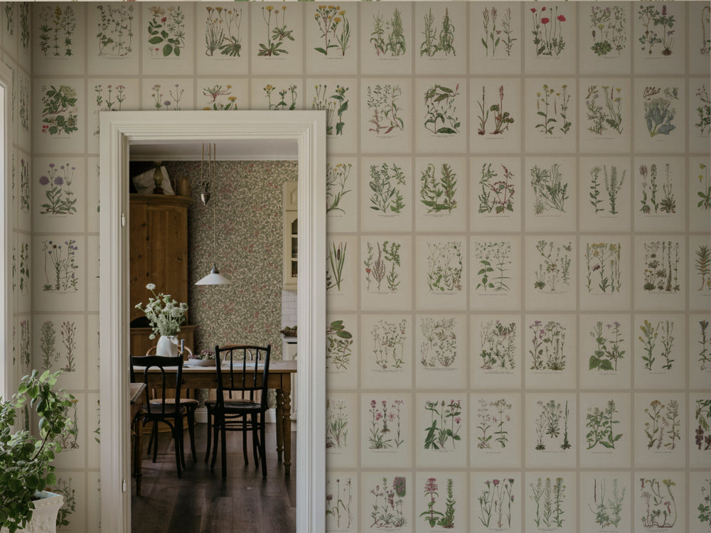 Sandberg Trädgården Botanica - S10508