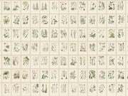 Sandberg Trädgården Botanica - S10508