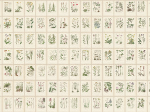 Sandberg Trädgården Botanica - S10508