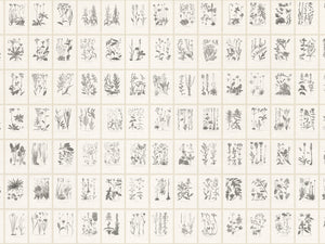 Sandberg Trädgården Botanica - S10509