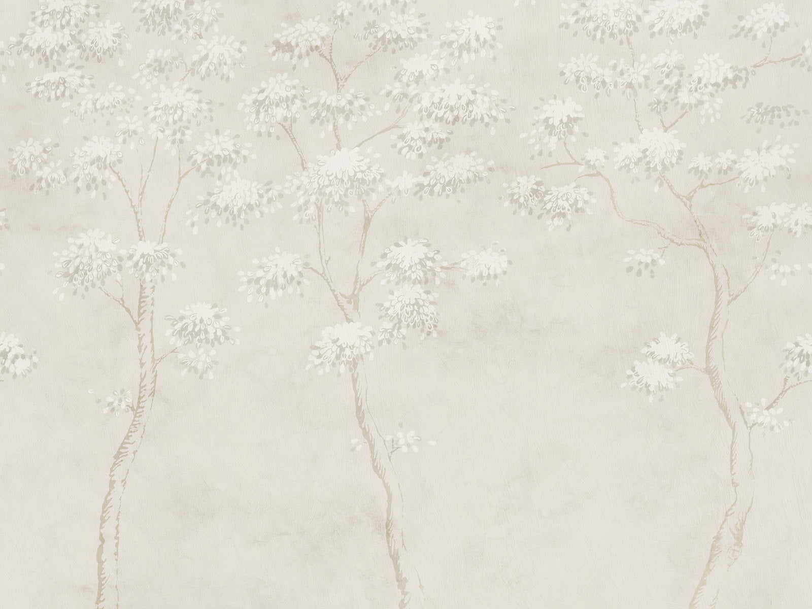 Sandberg Trädgården Wilhelm - S10524