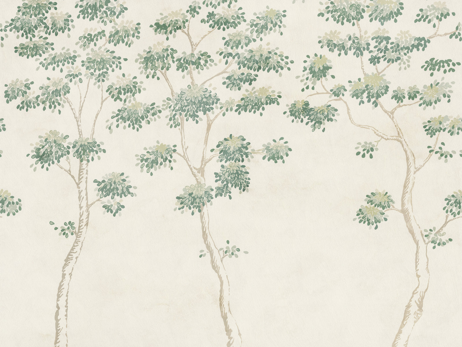 Sandberg Trädgården Wilhelm - S10525