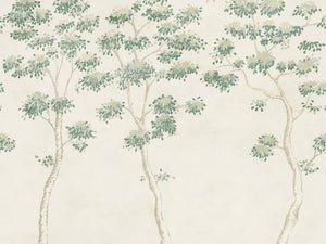 Sandberg Trädgården Wilhelm - S10525