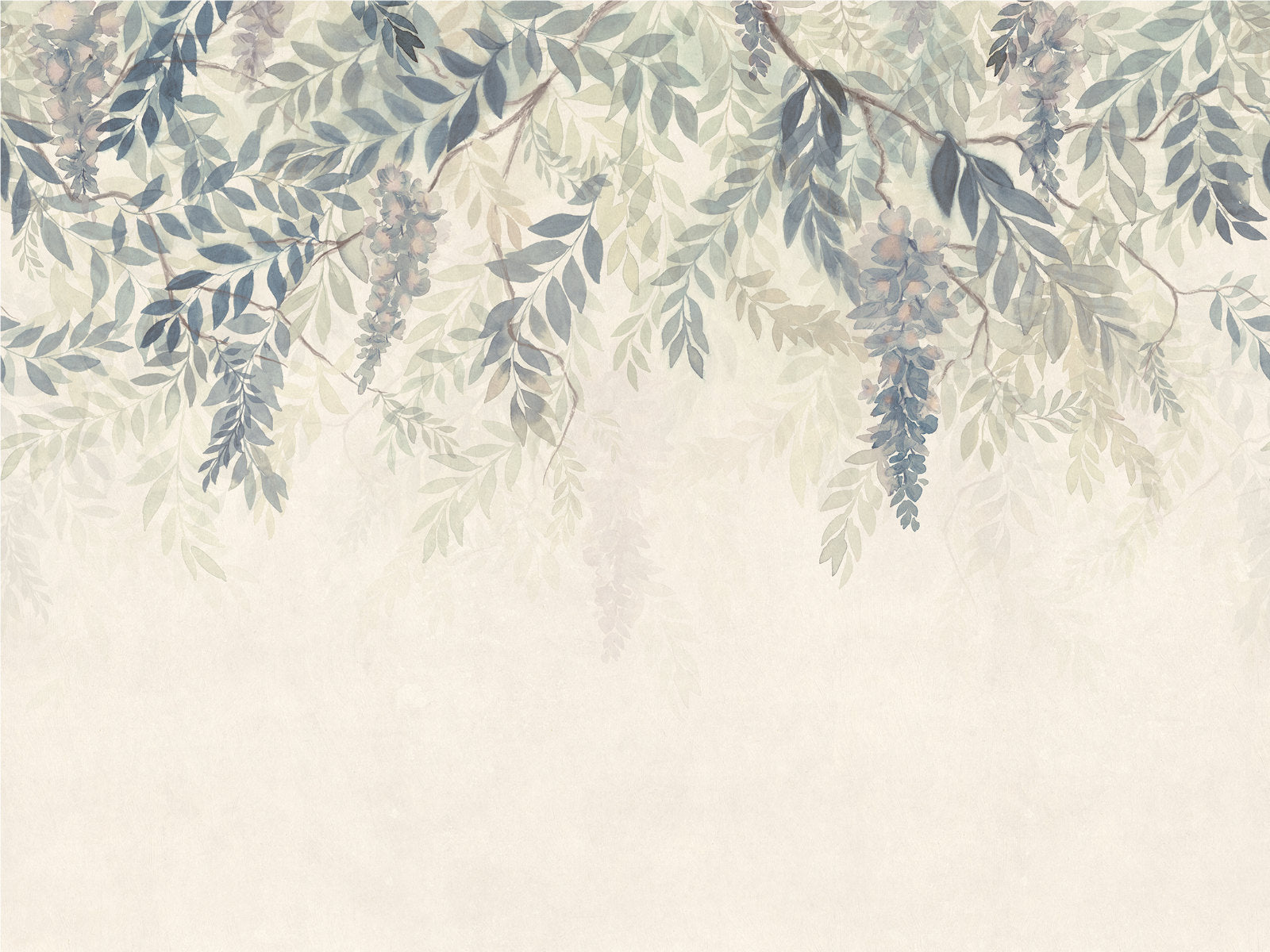 Sandberg Trädgården Wisteria - S10656