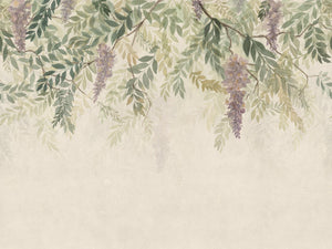 Sandberg Trädgården Wisteria - S10657