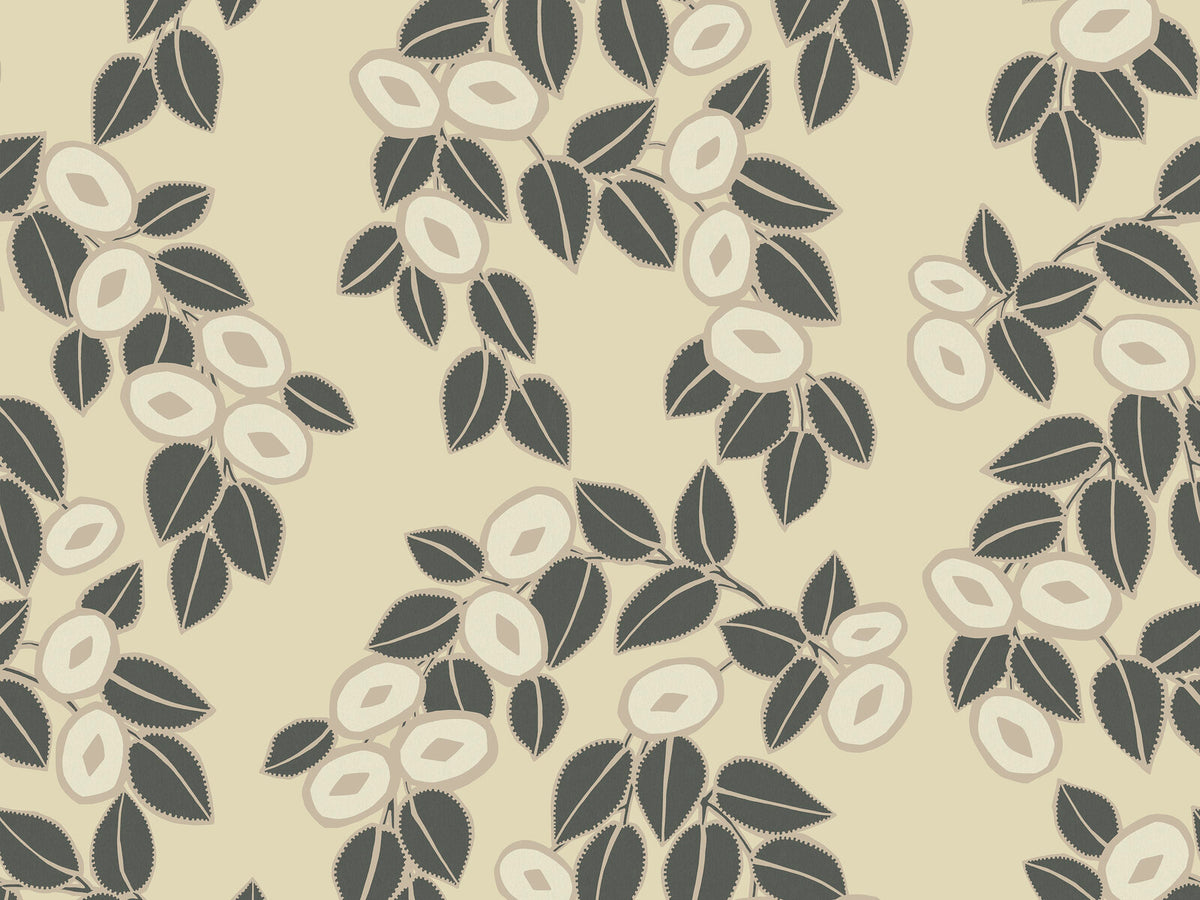 HookedOnWalls soft symmetry Bloom - 68681