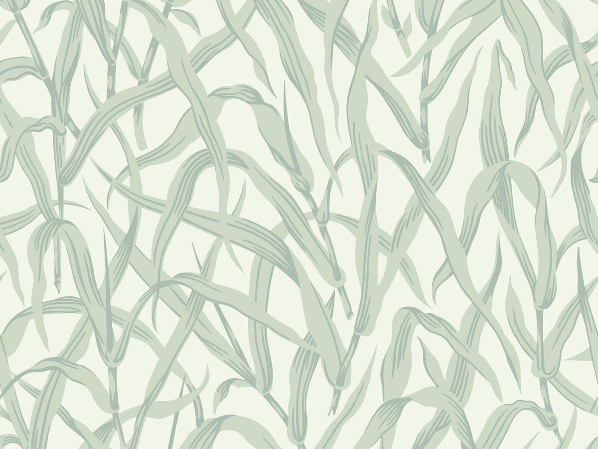 HookedOnWalls soft symmetry Twig - 68670
