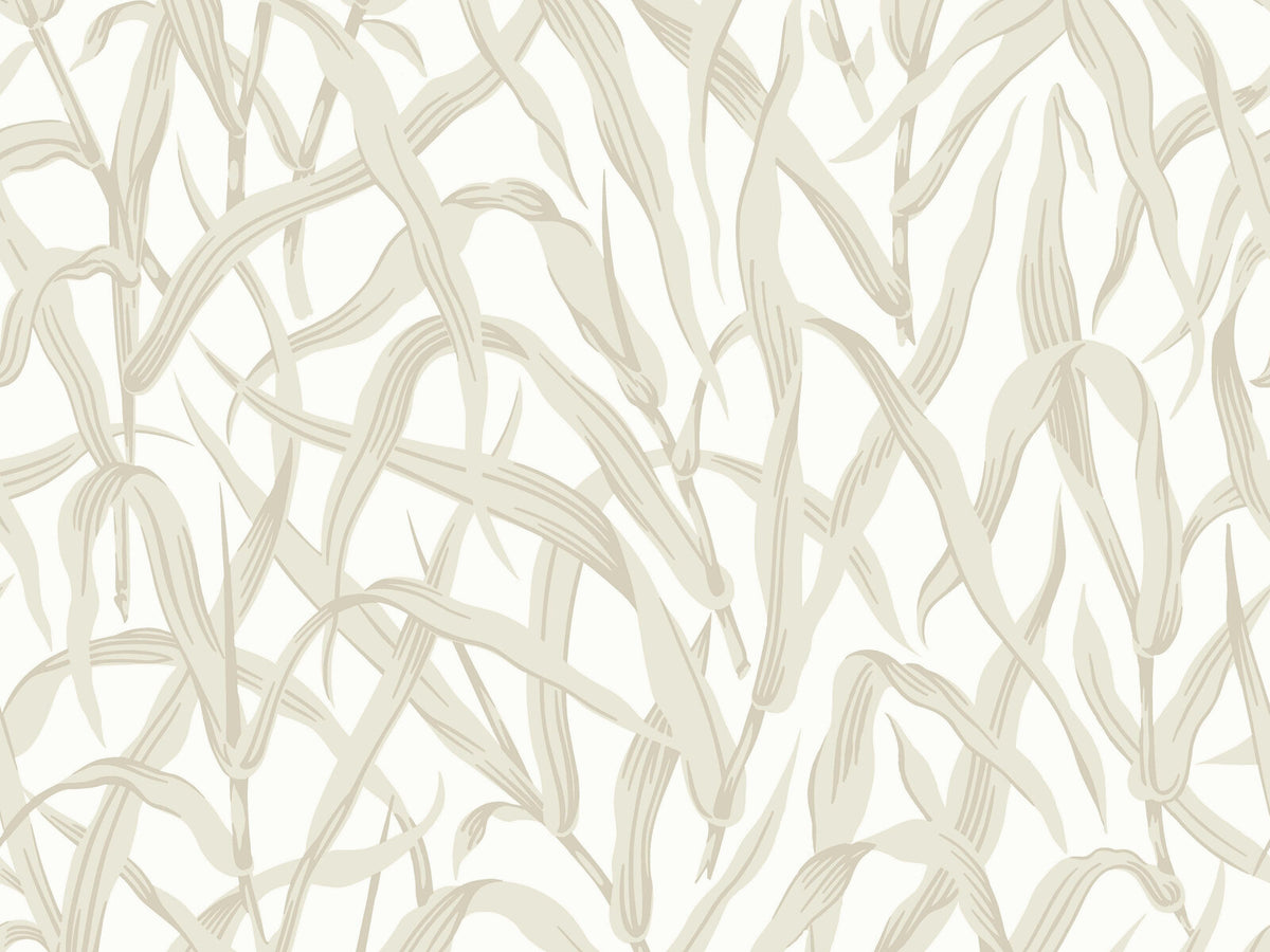 HookedOnWalls soft symmetry Twig - 68671