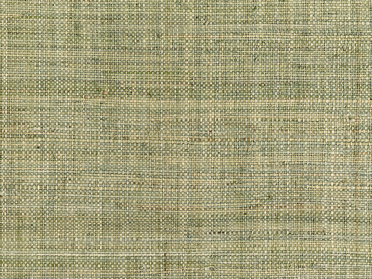Thibaut Grasscloth Resource 7 Mackinac - T10302