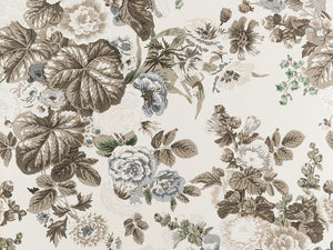 Thibaut Boxwood Hidcote - T10511
