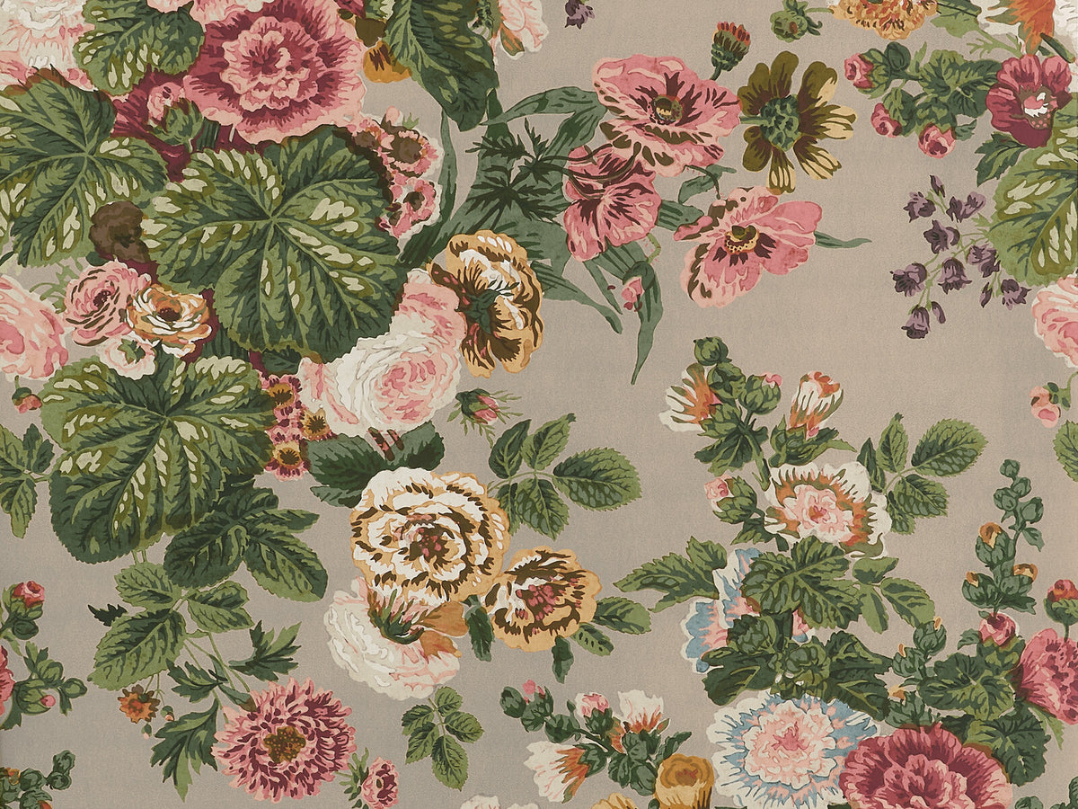 Thibaut Boxwood Hidcote - T10514