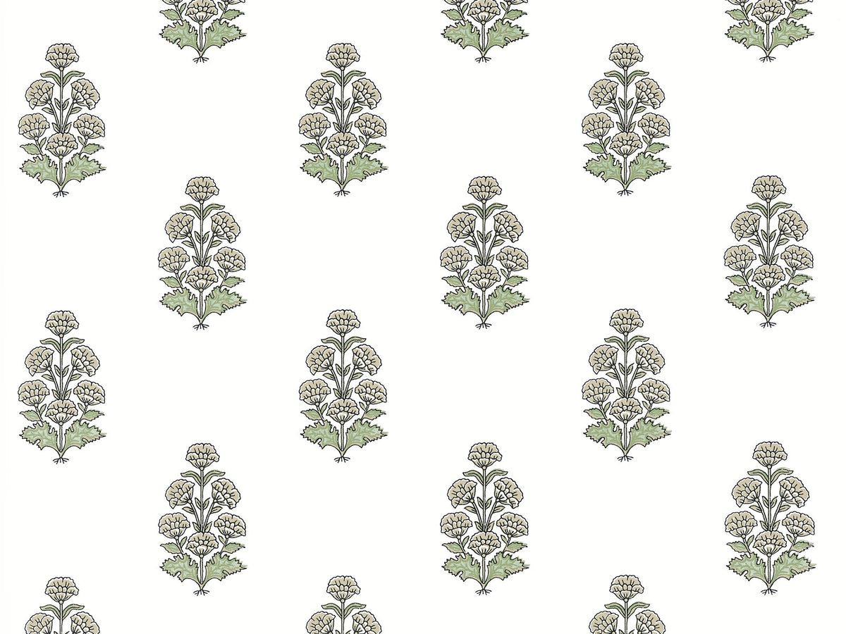 Thibaut Boxwood Audrey - T10522