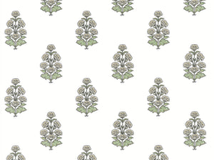 Thibaut Boxwood Audrey - T10522