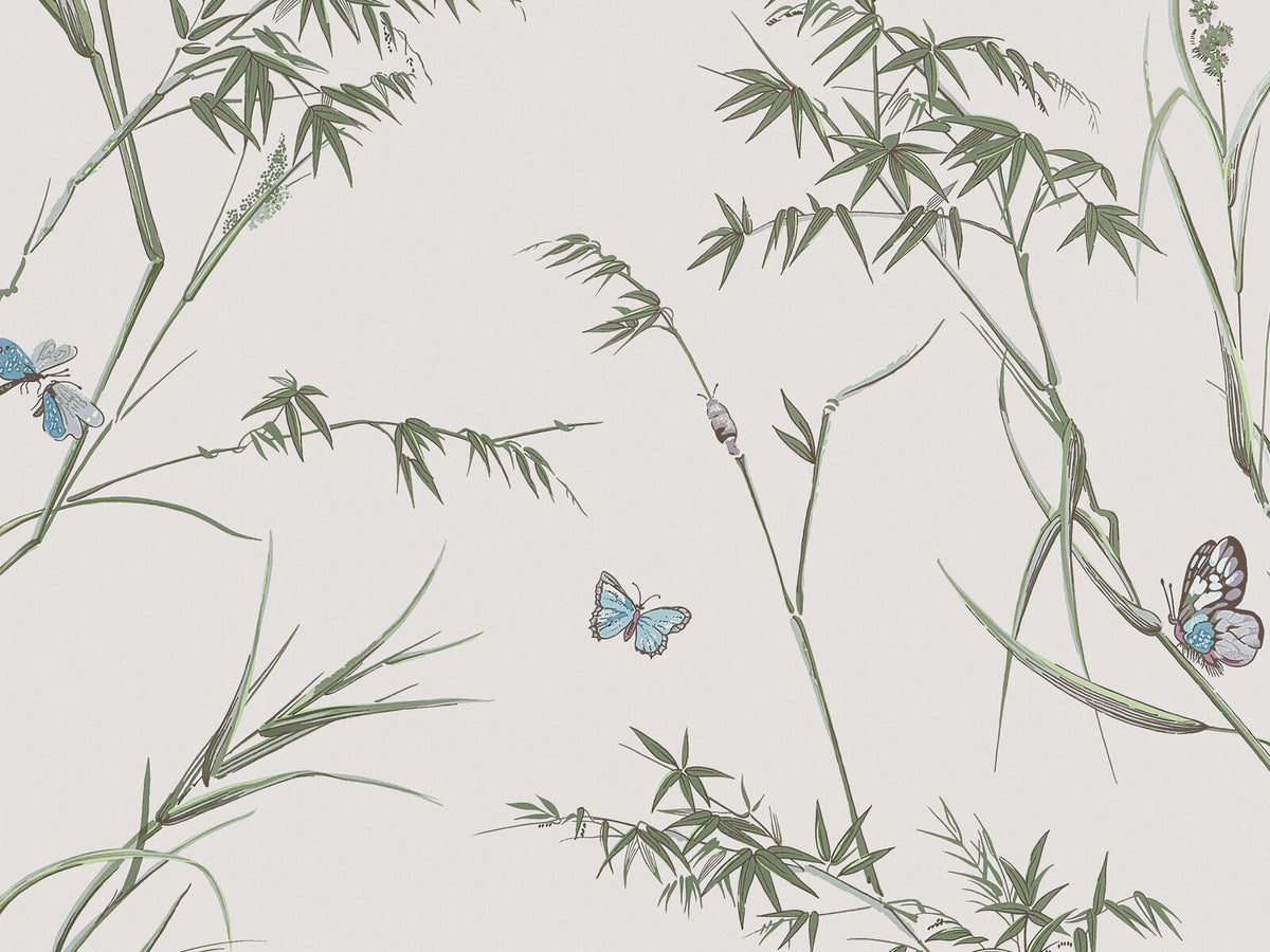 Thibaut Boxwood Virginia - T10526