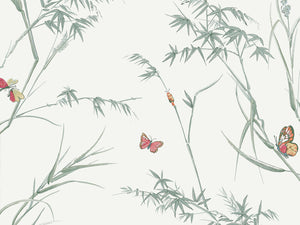 Thibaut Boxwood Virginia - T10527