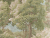 Thibaut Boxwood Woodland Clearing - T10546