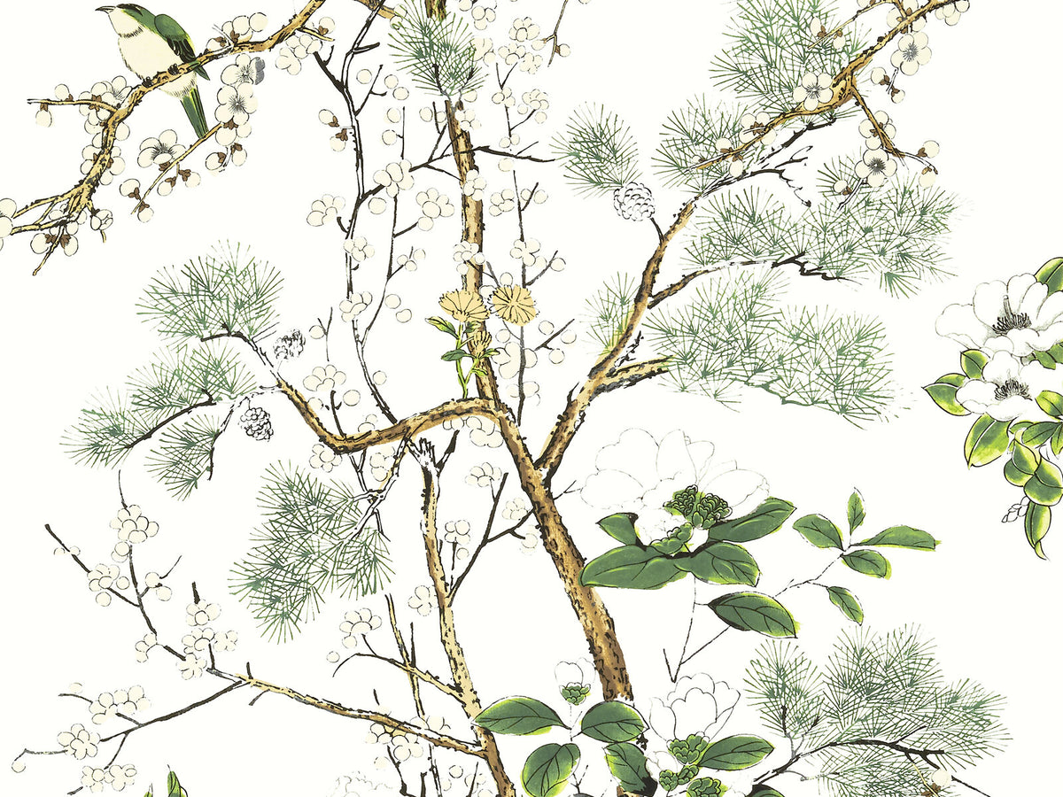 Thibaut Grand Palace Katsura - T13621