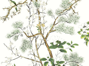 Thibaut Grand Palace Katsura - T13621