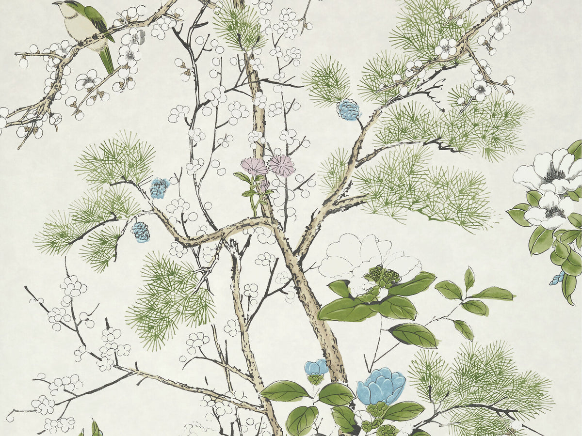 Thibaut Grand Palace Katsura - T13622