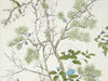 Thibaut Grand Palace Katsura - T13622