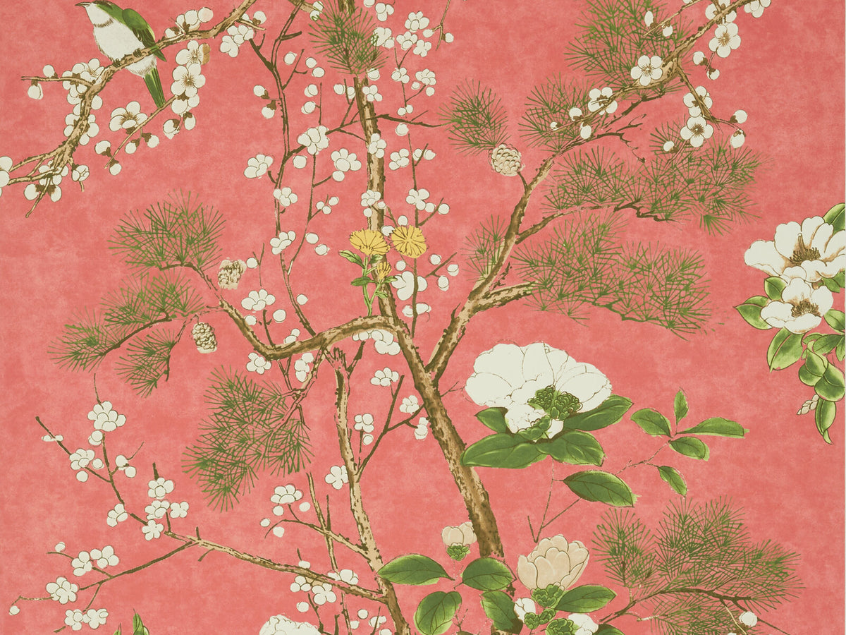 Thibaut Grand Palace Katsura - T13624