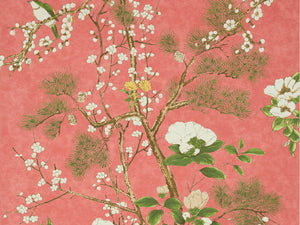 Thibaut Grand Palace Katsura - T13624