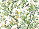 Thibaut Grand Palace Jardin Bloom Mural - Tm13666