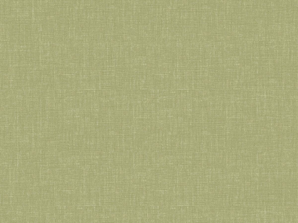 Hookedonwalls Tropical Chique Saona - 20491