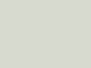 Little Greene Verf Pearl Colour - 100