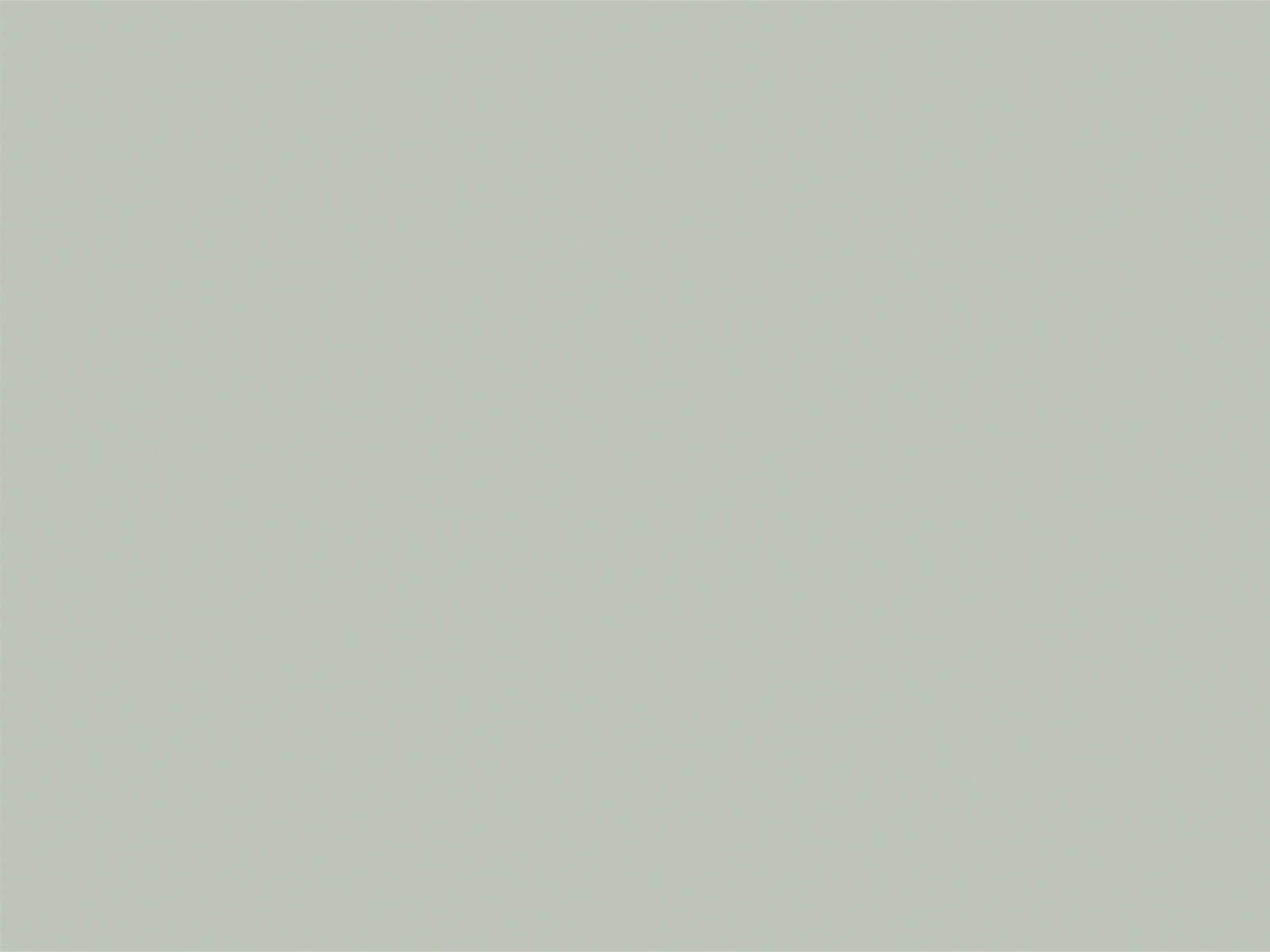 Little Greene Verf Pearl Colour Dark - 169