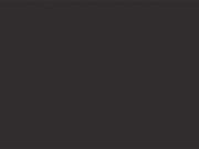 Little Greene Verf Lamp Black - 228