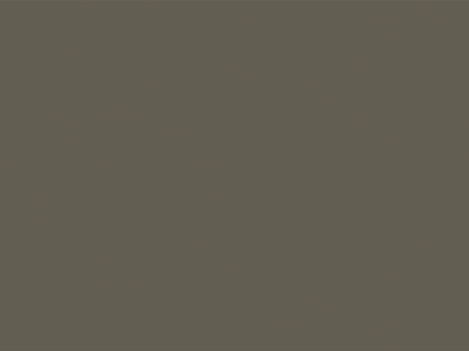 Little Greene Verf Grey Moss - 234
