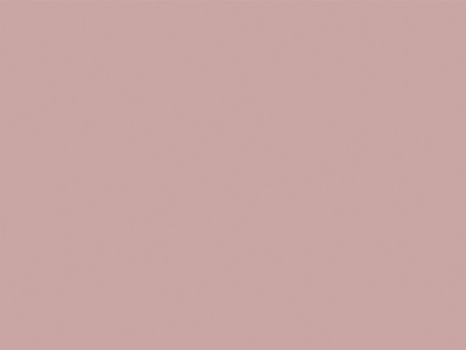 Little Greene Verf Hellebore - 275